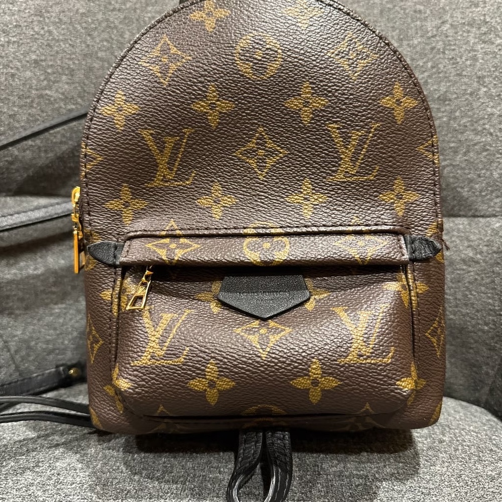 Louis Vuitton Palm Springs mini